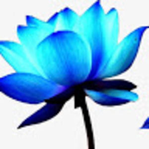 Meet your Posher, Tynisha